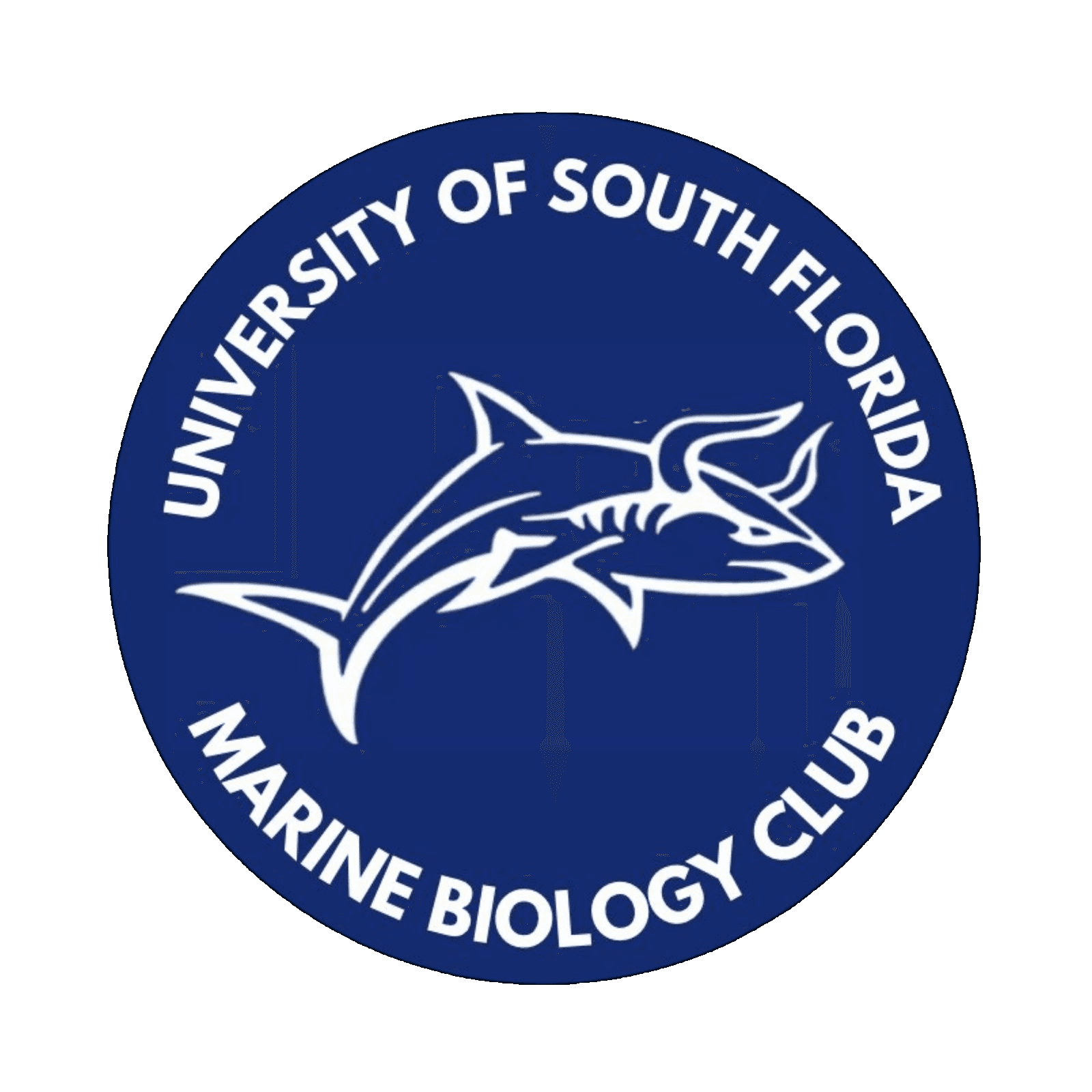 USF Marine Biology Club